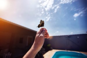 Despierta tu pasión interna, fuerza y resiliencia